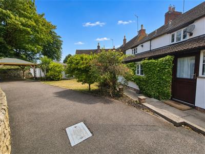 Picture 20